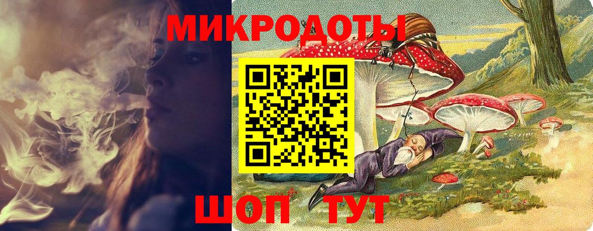 Псилоцибиновые грибы Psilocybe  Вход с VPN  Электрогорск 
